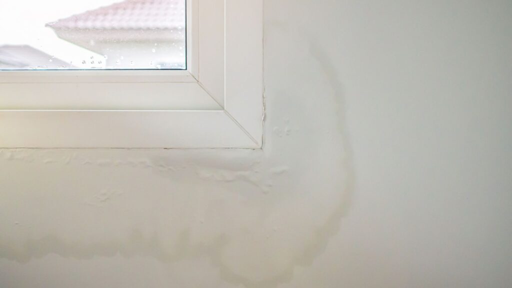 Las humedades son uno de los problemas más frecuentes en viviendas de Barcelona y el área metropolitana, especialmente en edificios de más de 30 años. Y también uno de los más mal diagnosticados: tratar el síntoma sin identificar la causa es tirar el dinero.