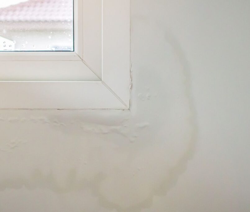 Las humedades son uno de los problemas más frecuentes en viviendas de Barcelona y el área metropolitana, especialmente en edificios de más de 30 años. Y también uno de los más mal diagnosticados: tratar el síntoma sin identificar la causa es tirar el dinero.