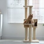 Adapta tu vivienda en Barcelona con suelos resistentes a arañazos, comederos integrados y zonas de lavado. Ideas de lujo pet-friendly con Reformas Guimerà.